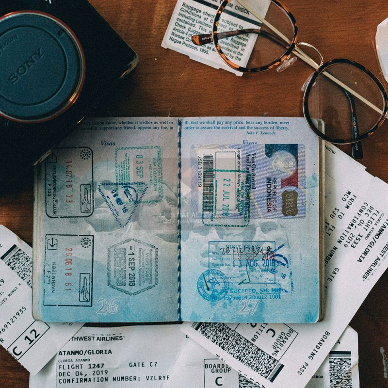 Visa Processing