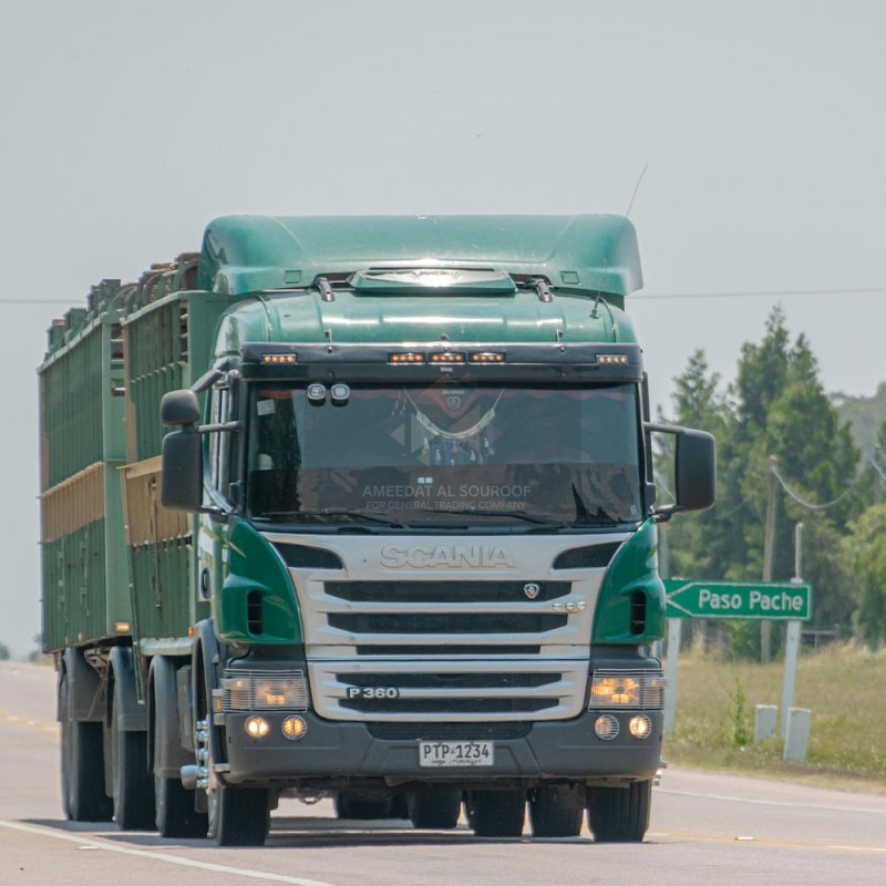 Land Transportation